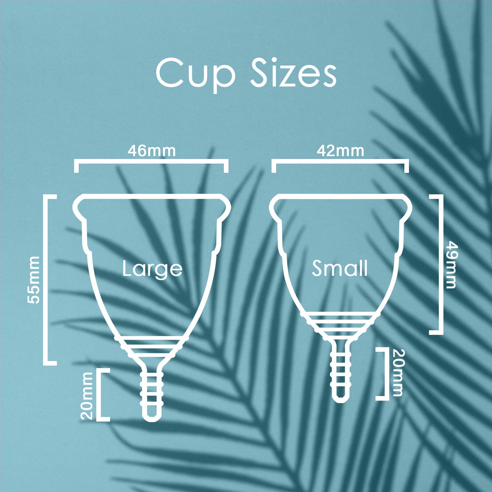 Large Menstrual Cup Plus Sterilizer Cup